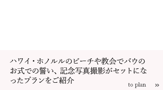 ハワイバウリニューアル